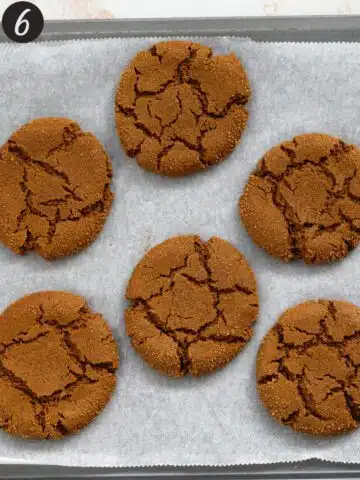 tray of baked crinkly molasses cookies fresh from the oven.