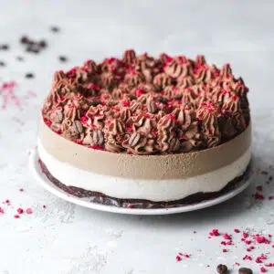 mocha cheesecake with freeze dried raspberries on top on a light grey background.