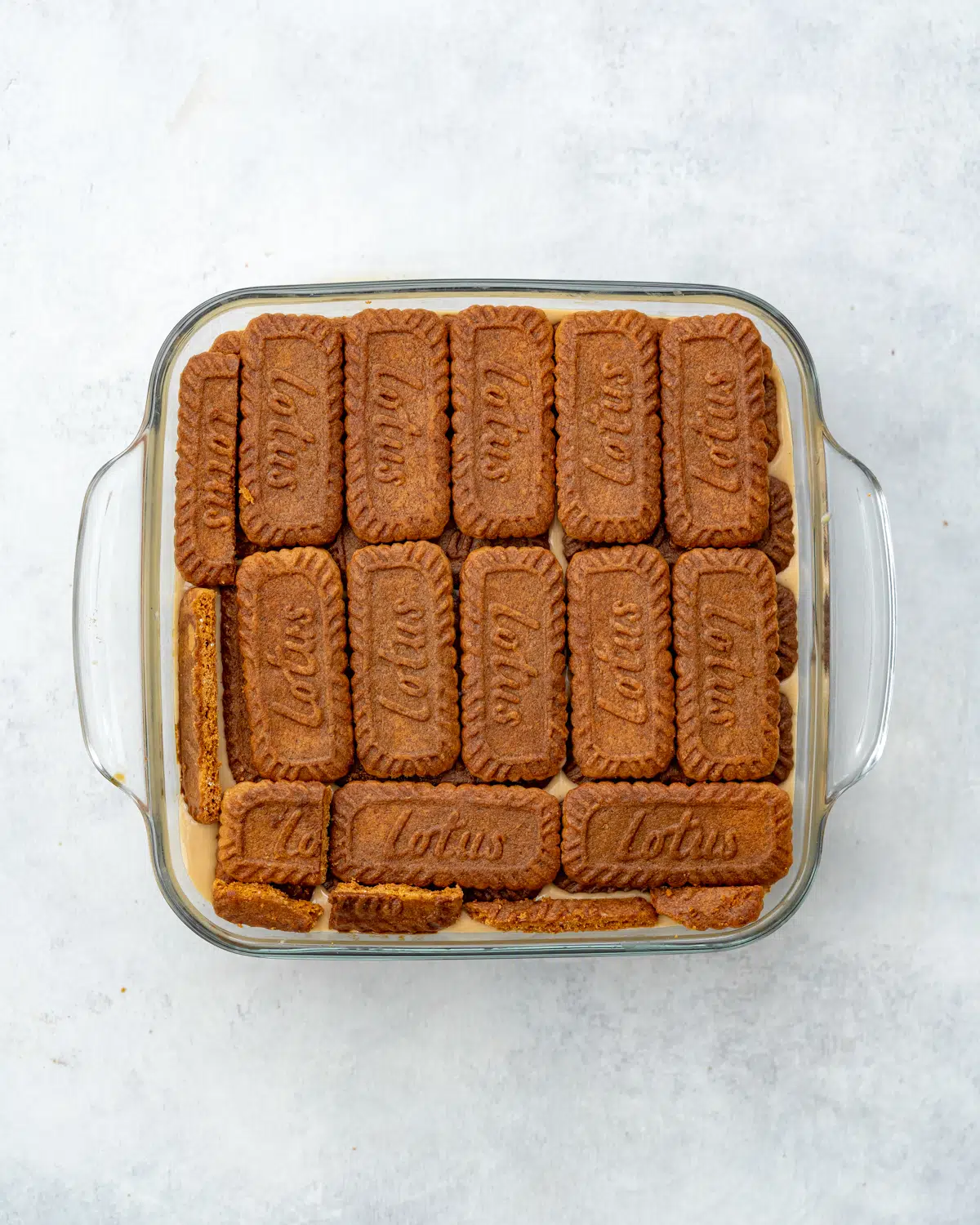 layer of espresso soaked biscoff cookies in a baking dish.