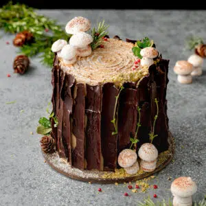 tree stump cake with meringue mushrooms on top.