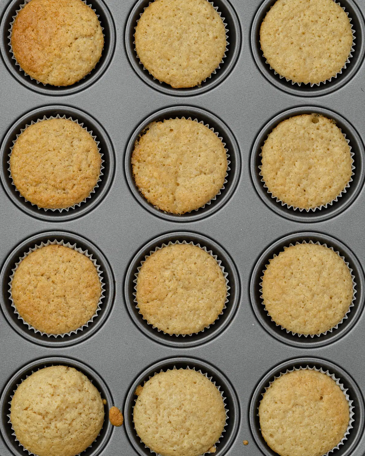 baked cupcakes in a tray.