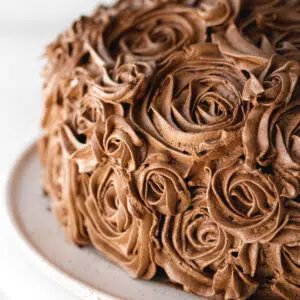 chocolate cake with chocolate buttercream roses piped on it.