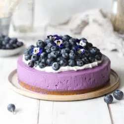 blueberry cheesecake on a ceramic plate with cream and fresh blueberries on top.