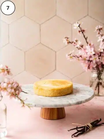 a single layer of vegan vanilla cake on a turntable with cherry blossoms in the background.