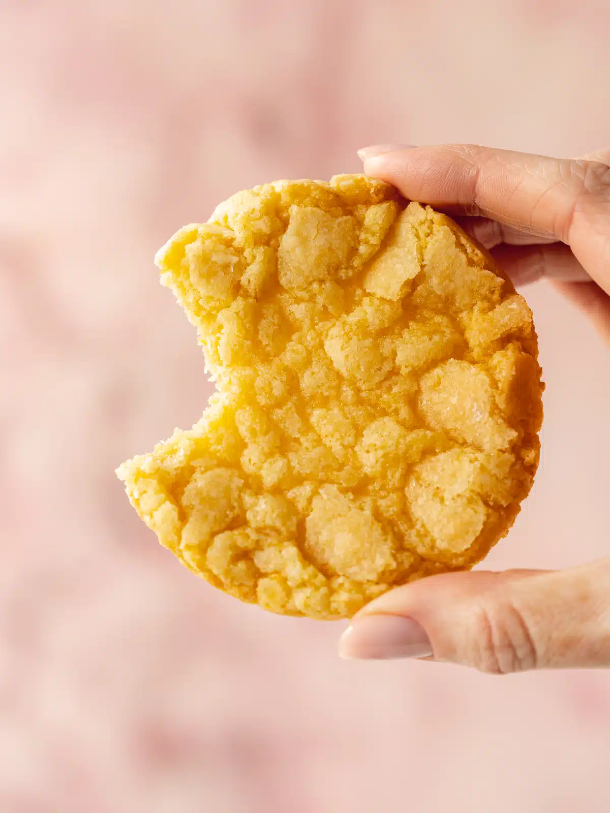 a hand holding up a vegan lemon crinkle cookie with a bite taken out of it, against a pink background.