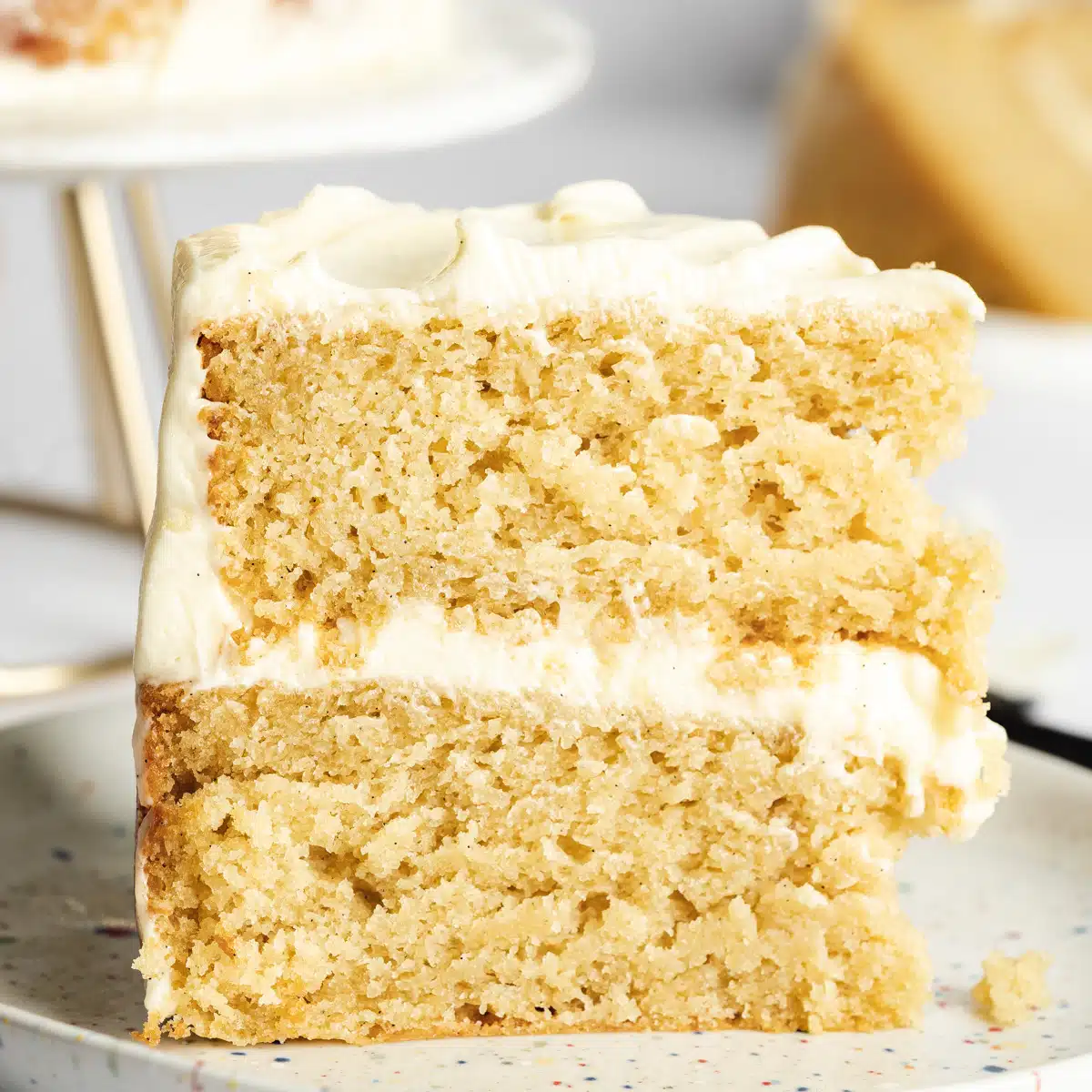 The Best Vegan Vanilla Cake (Moist & Tender)